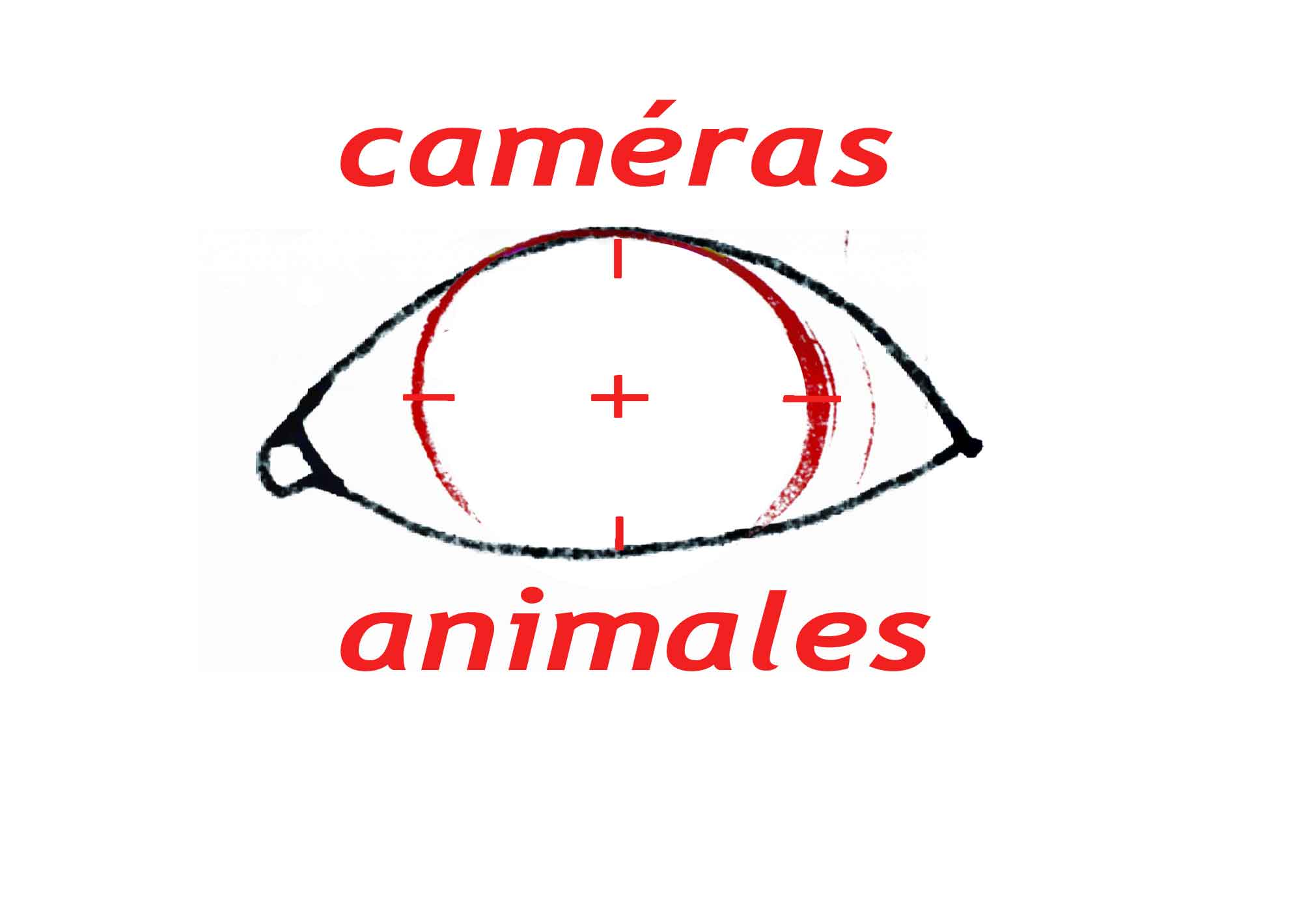 Joindre votre logo