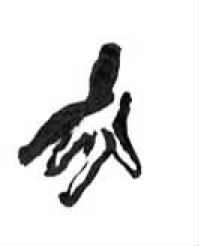 Joindre votre logo